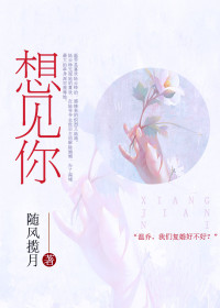第一刺客女婿