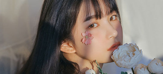 免费帝师大人小说推荐