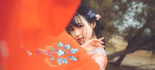 炼妖师小说大全