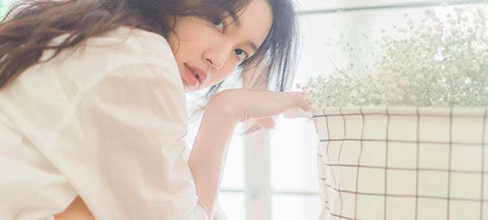珠光宝妻题材的小说推荐