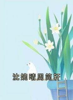 沈婉晴周简轩