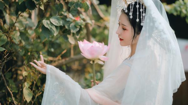 《灵异泛滥：我有一台恐怖许愿机》小说免费试读 《灵异泛滥：我有一台恐怖许愿机》最新章节列表