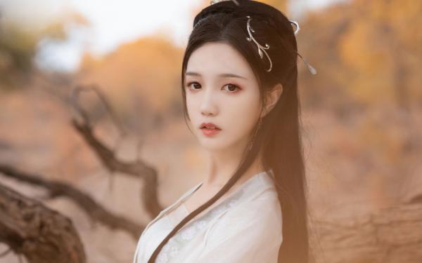 苏念陆景行全文免费试读 枯砚磨穿鬓已秋小说全本无弹窗