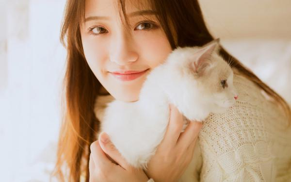 杨凡陈雪乱世边军：从军功换媳妇开始小说精彩章节免费试读