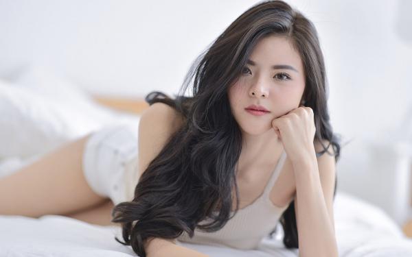 《秦晚陆哲》小说章节在线试读 替身新郎:豪门千金她早就知道了。小说阅读