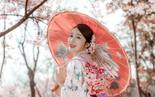 情花枯萎时，才说爱全文目录 沈念昔秦少廷免费章节阅读