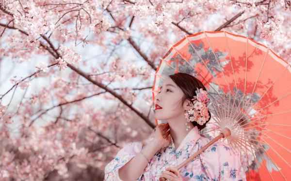 我给老公的离婚宣告点了赞最新章节 沈瑜顾承泽大结局免费在线阅读