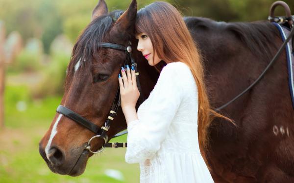 江宴宋知意梦醒时花落小说精彩章节在线阅读