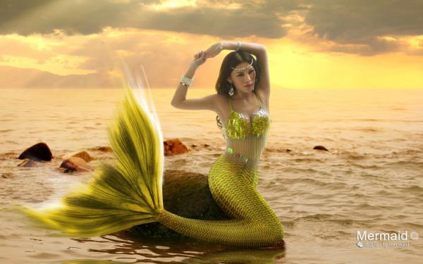 乱世兵王：红颜江山我全都要小说 张宁李婉玲小说叫什么