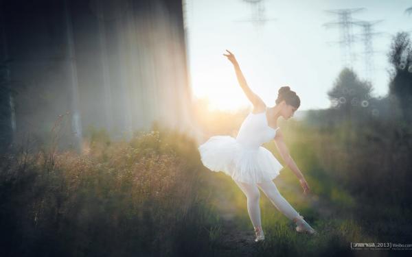 《苏宏泽苏娅》大结局精彩试读 《苏宏泽苏娅》最新章节目录