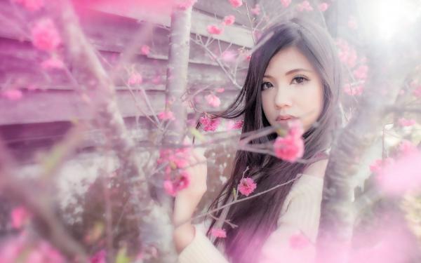 《沈念昔秦少廷》完结版免费试读 《沈念昔秦少廷》最新章节目录