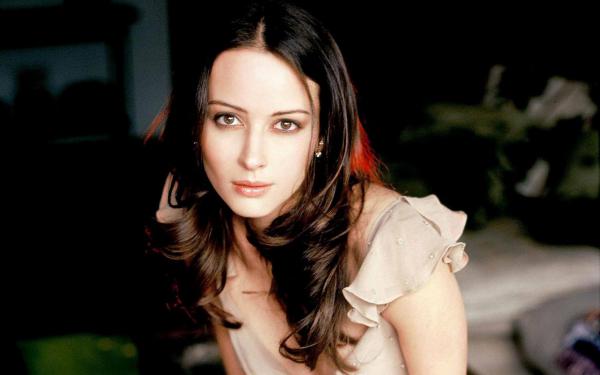 苏晚意陆景深夏安然最新章节更新状态 暮舟辞别终向晚结局